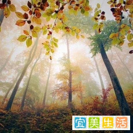 新公学:存善去恶