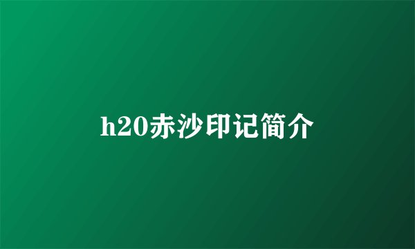 h20赤沙印记简介