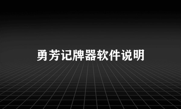 勇芳记牌器软件说明