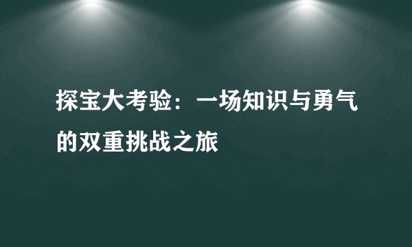 探宝大考验：一场知识与勇气的双重挑战之旅
