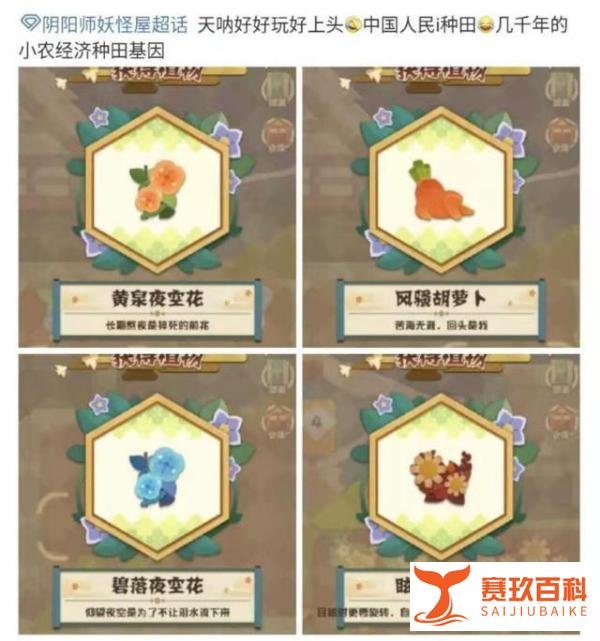 种田人，种田魂，种田都是人上人！《阴阳师：妖怪屋》新版本来啦