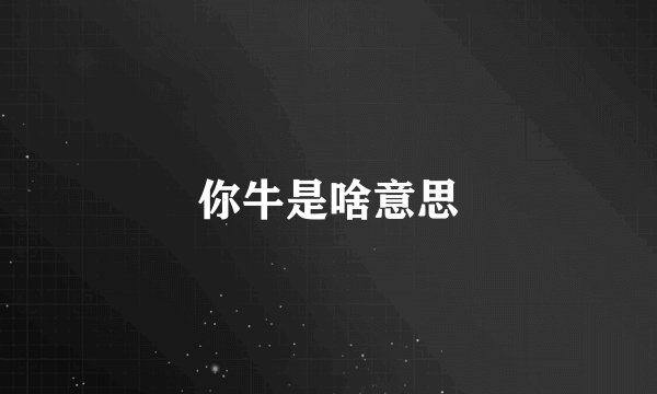 你牛是啥意思