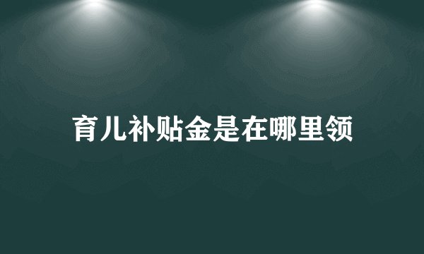 育儿补贴金是在哪里领