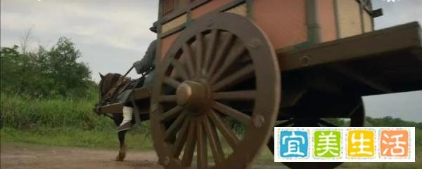 《藏海传》大结局：高明师父到底有没有死？看这三个细节就知道了