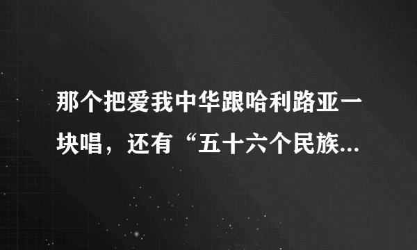 那个把爱我中华跟哈利路亚一块唱，还有“五十六个民族五十六枝花，五十九个兄弟姐妹多出了仨”的剧叫啥？