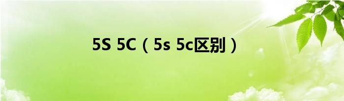 5S5C5s5c区别