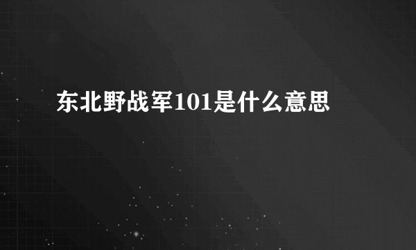 东北野战军101是什么意思