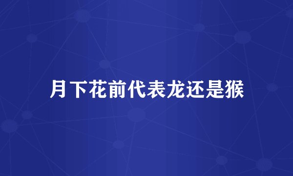月下花前代表龙还是猴