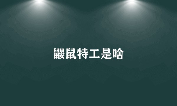 鼹鼠特工是啥