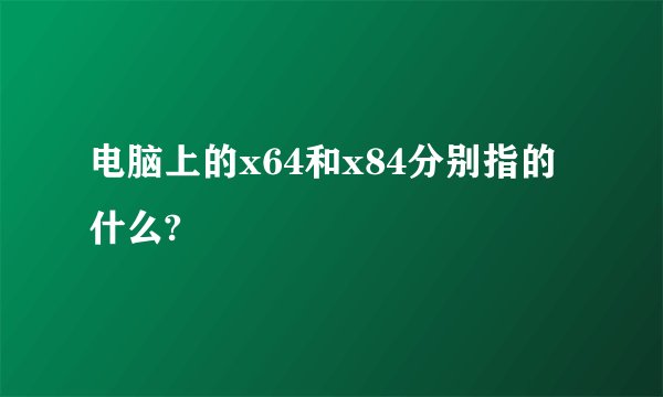 电脑上的x64和x84分别指的什么?