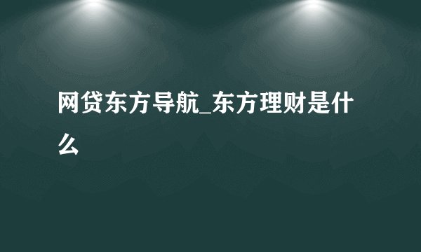 网贷东方导航_东方理财是什么