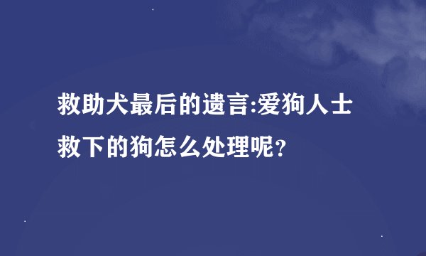 救助犬最后的遗言:爱狗人士救下的狗怎么处理呢？