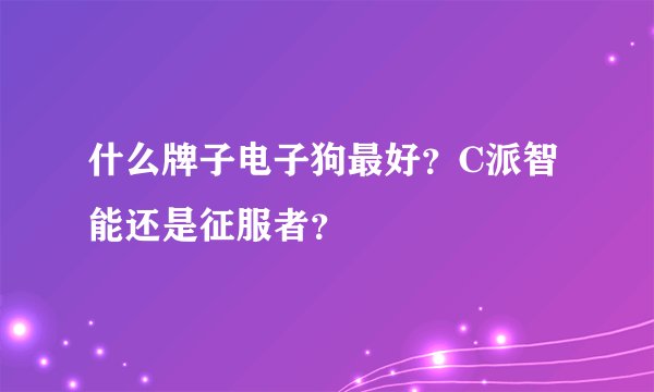 什么牌子电子狗最好？C派智能还是征服者？