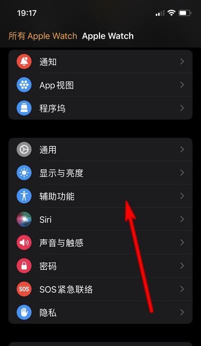 苹果手机watch是什么