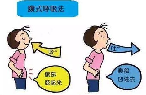 10岁小孩运动前一分钟的心跳和呼吸是多少