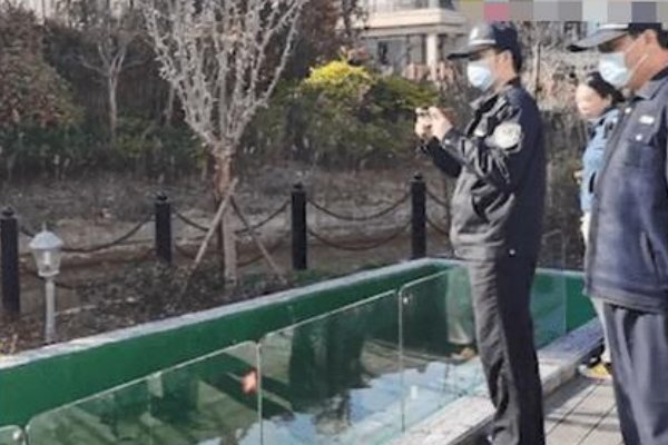 奉贤一名男子偷5万元锦鲤晒成小鱼干被刑拘，他偷锦鲤就是为了吃吗？