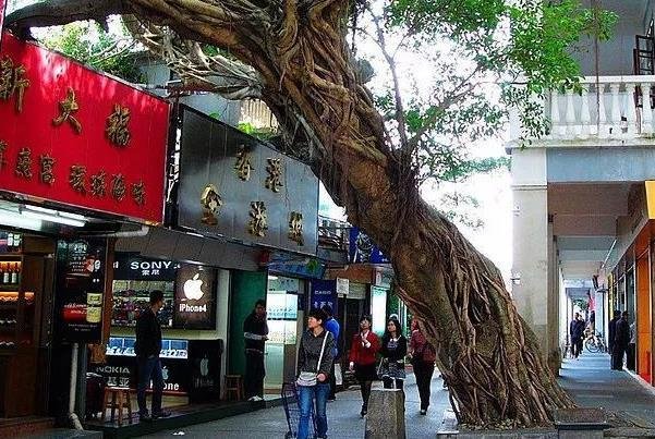 深圳中英街怎么预约-门票