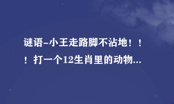 谜语-小王走路脚不沾地！！！打一个12生肖里的动物并说说为什么！！谢谢
