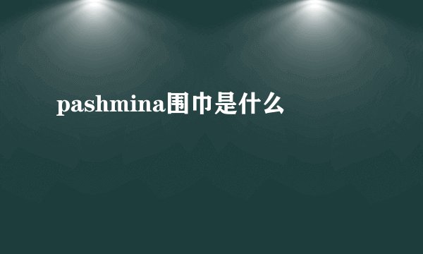 pashmina围巾是什么