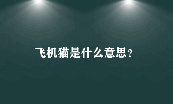 飞机猫是什么意思？
