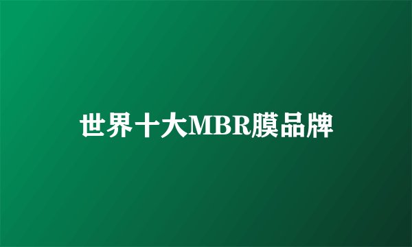 世界十大MBR膜品牌