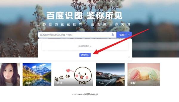 查图片出处怎么搜索