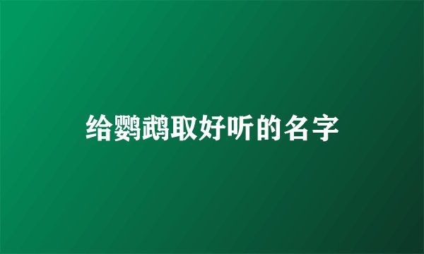 给鹦鹉取好听的名字