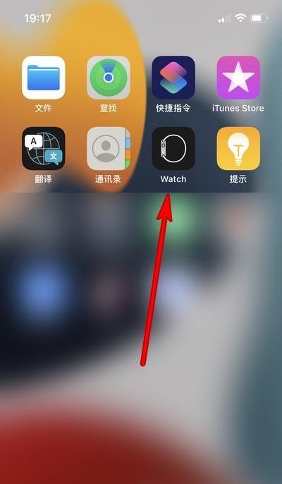苹果手机watch是什么