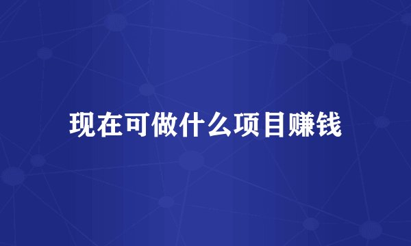 现在可做什么项目赚钱