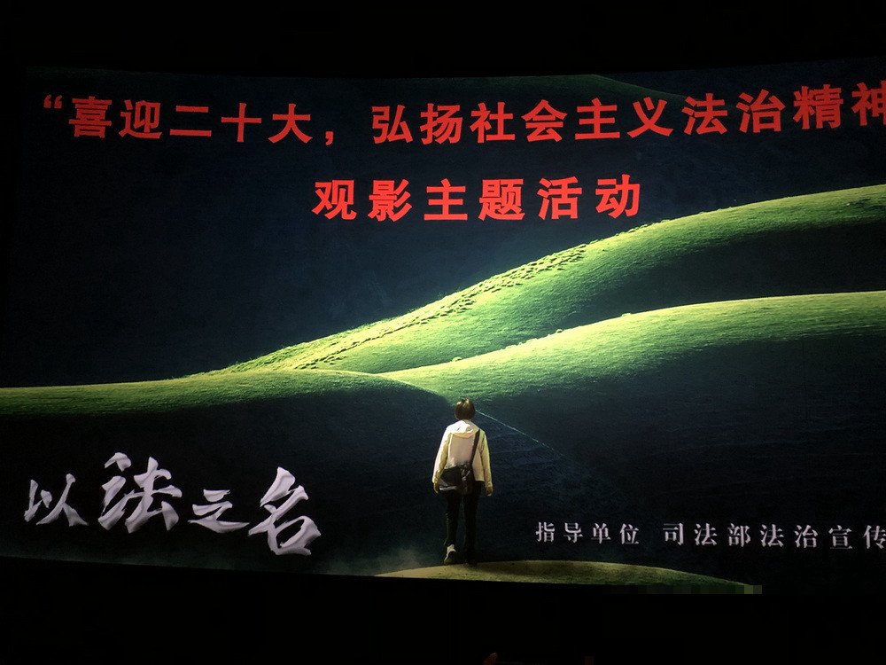 以法之名1—36集电视剧免费观看演员表