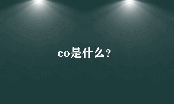 co是什么？