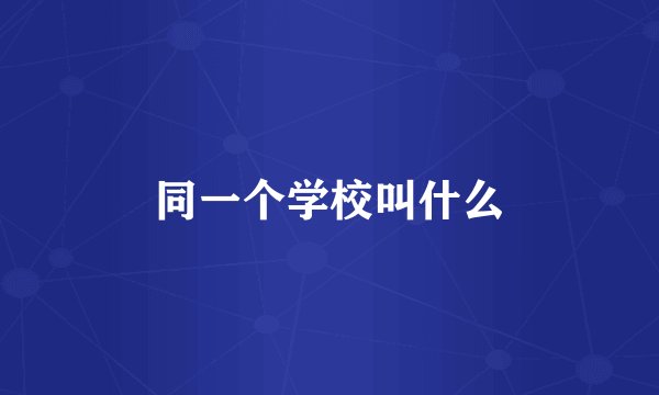 同一个学校叫什么