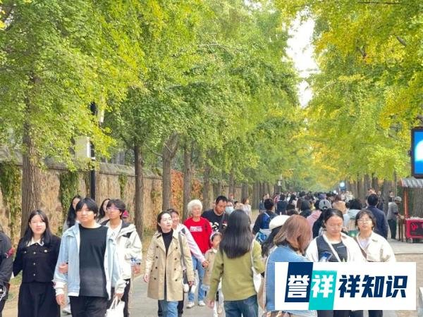 多地官宣:免费!