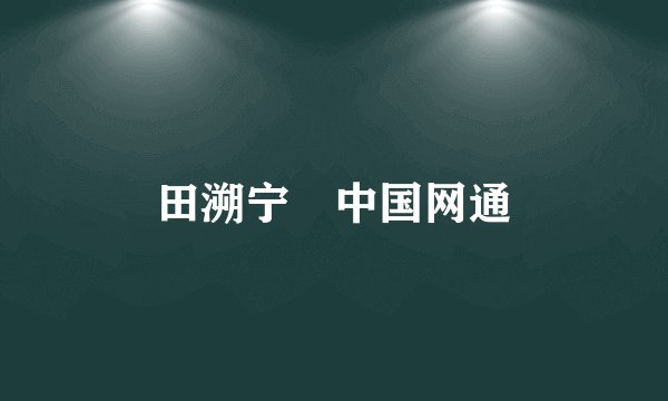 田溯宁中国网通