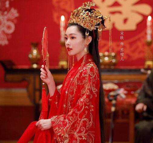 赘婿苏家为什么被灭门