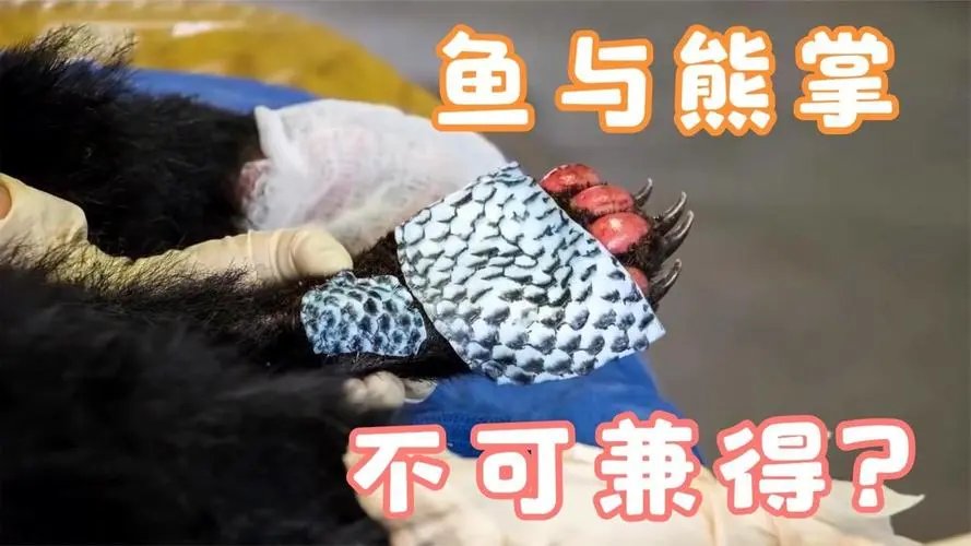 鱼皮一烫就化,男子质疑是科技与狠活,到底是食用胶还是真鱼皮?