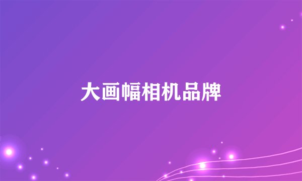大画幅相机品牌
