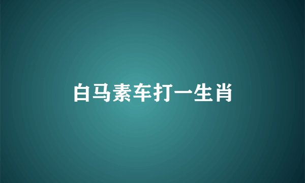 白马素车打一生肖