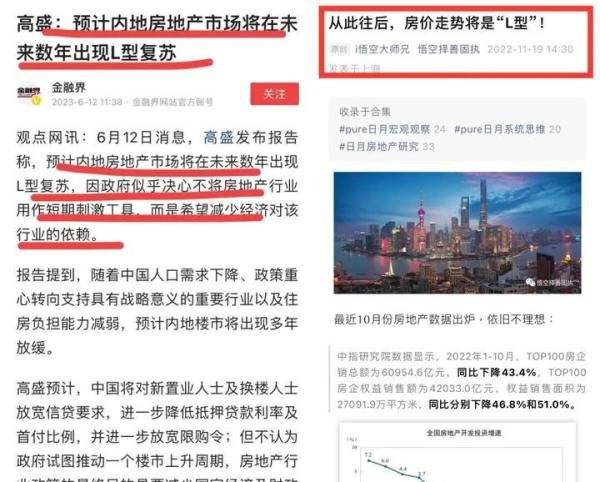 pure日月/悟空新之助：高盛复制了我的观点：房地产将是“L型”走势！
