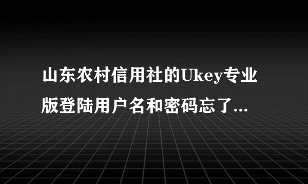 山东农村信用社的Ukey专业版登陆用户名和密码忘了怎么办拜托各位大神