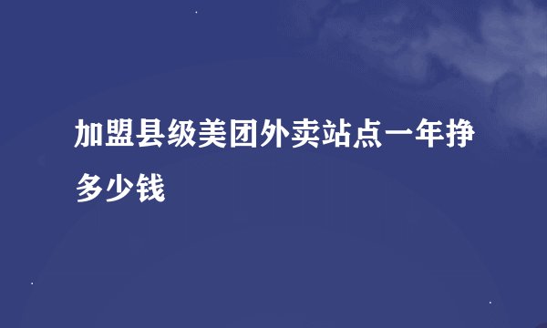 加盟县级美团外卖站点一年挣多少钱