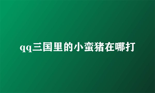 qq三国里的小蛮猪在哪打