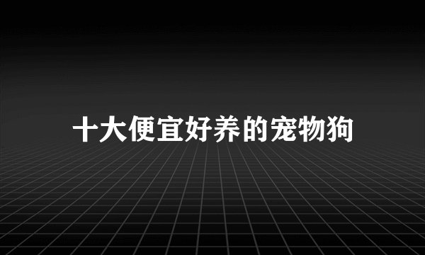 十大便宜好养的宠物狗