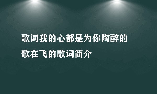 歌词我的心都是为你陶醉的 歌在飞的歌词简介