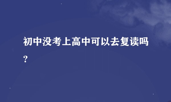 初中没考上高中可以去复读吗?