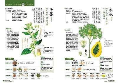 佛教所说的不沾荤腥，“荤”和“腥”的真正含义是什么？