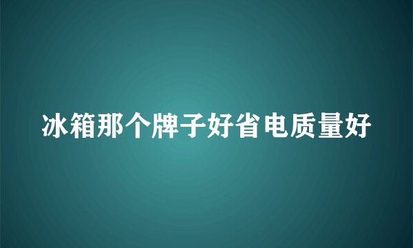 冰箱那个牌子好省电质量好