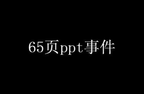 65页ppt女孩什么梗？