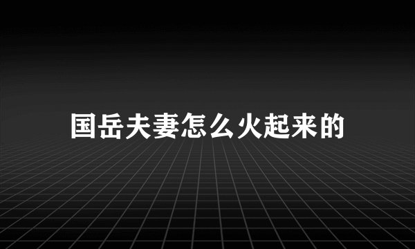 国岳夫妻怎么火起来的