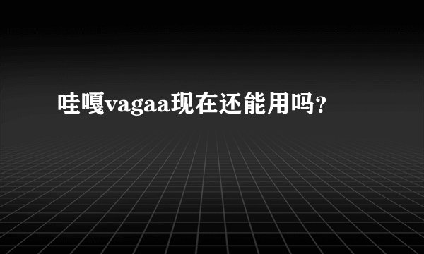 哇嘎vagaa现在还能用吗?